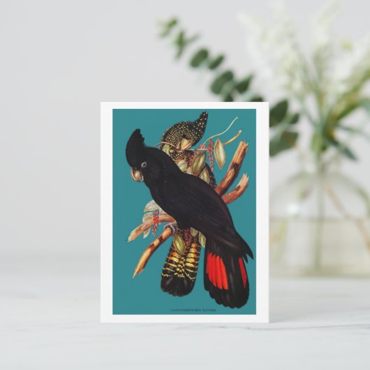 ヴィンテージブラックコッカトゥー | Elizabeth Gould 1800s Pos ポストカード (スタンド正面)