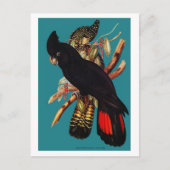 ヴィンテージブラックコッカトゥー | Elizabeth Gould 1800s Pos ポストカード (正面)