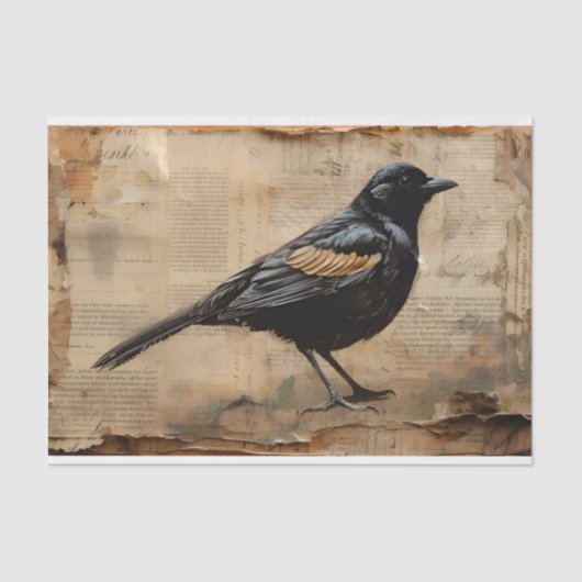 ヴィンテージブラックバードデコップゴシックブラックバード 薄葉紙 (正面)