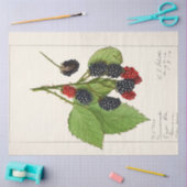 ヴィンテージブラックベリーbyエレンシュット 薄葉紙 (クラフト)