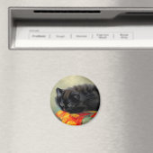 ヴィンテージブラック子猫と赤い花毛布 マグネット (インサイチュ (食洗機))