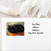 ヴィンテージブラック子猫と赤い花毛布 ラベル (インサイチュ)