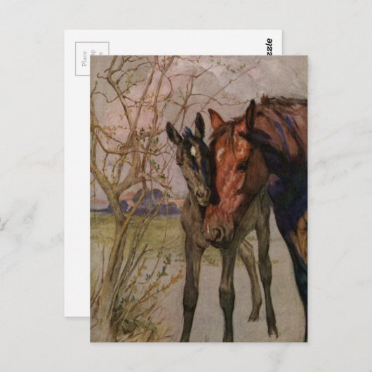 ヴィンテージブラック美しい馬「マイマザーとアイ」 ポストカード (正面/裏面)