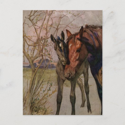 ヴィンテージブラック美しい馬「マイマザーとアイ」 ポストカード (正面)