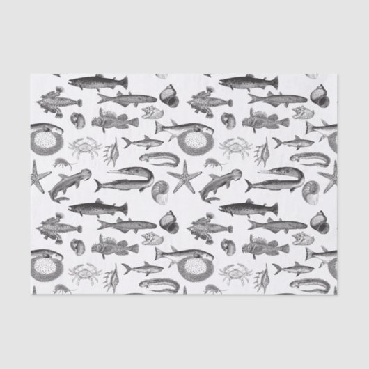 ヴィンテージブラック&ホワイトラインアートシークリーチャー 薄葉紙 (正面)