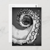 ヴィンテージブラック&ホワイト航海のタコ触手 ポストカード (正面/裏面)