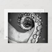 ヴィンテージブラック&ホワイト航海のタコ触手 ポストカード (正面/裏面)