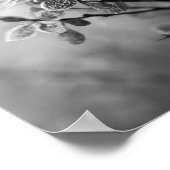 ヴィンテージブラック&ホワイト葉バーベリ自然写真 ポスター (角)