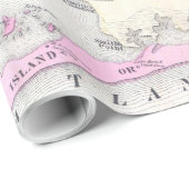 ヴィンテージブルックヘブンとファイアアイランドのNYの地図(1873) ラッピングペーパー (ロールコーナー)