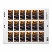 ヴィンテージブルックマス魚フィッシャーマンスポーツ魚釣り ラベル (フルシート)