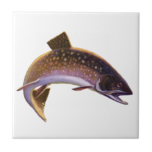 ヴィンテージブルックマス魚，スポーツ魚釣り漁師 タイル (正面)