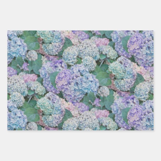 ヴィンテージブルーアジサイフローラ園 ラッピングペーパーシート (正面)