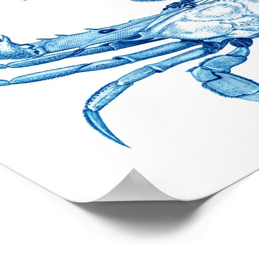 ヴィンテージブルーカニのポスターNo.5ビーチデコール ポスター (角)