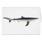 ヴィンテージブルーシャーク、水中競技海マリンライフ (正面横)