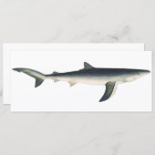 ヴィンテージブルーシャーク、水中競技海マリンライフ (正面/裏面)