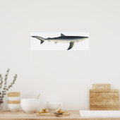 ヴィンテージブルーシャーク、水中競技海マリンライフ ポスター (キッチン)