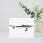 ヴィンテージブルーシャーク、水中競技海マリンライフ ポストカード (スタンド正面)