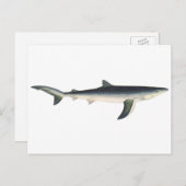 ヴィンテージブルーシャーク、水中競技海マリンライフ ポストカード (正面/裏面)