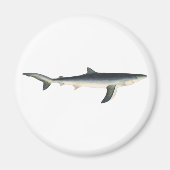 ヴィンテージブルーシャーク、水中競技海マリンライフ マグネット (正面)