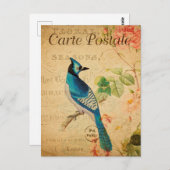 ヴィンテージブルージェイ鳥フローラ花フランスの ポストカード (正面/裏面)