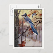 ヴィンテージブルージェイbyロバート・ブルース・ホースフォール ポストカード (正面/裏面)