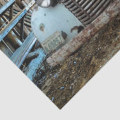 ヴィンテージブルートラック素朴バーン 薄葉紙 (詳細)