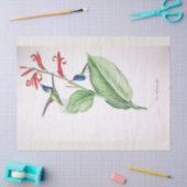 ヴィンテージブルーハミングバードエフエメラデクページ 薄葉紙 (クラフト)