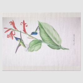 ヴィンテージブルーハミングバードエフエメラデクページ 薄葉紙