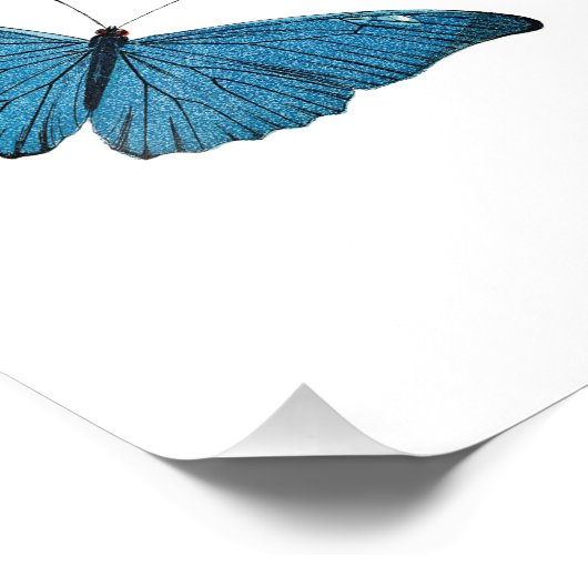 ヴィンテージブルーバタフライアンドトルストイハピネス引用文 フォトプリント (角)