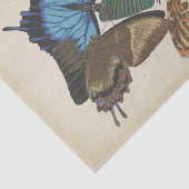 ヴィンテージブルーバタフライエフェメラデクページスクリプトT 薄葉紙 (詳細)