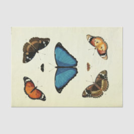 ヴィンテージブルーバタフライエフェメラデクページスクリプトT 薄葉紙