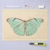 ヴィンテージブルーバタフライエフェメラデクページティール（緑がかった色）ティス 薄葉紙 (クラフト)