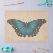 ヴィンテージブルーバタフライエフェメラデクページティール（緑がかった色）ティス 薄葉紙 (クラフト)