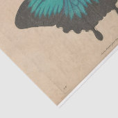 ヴィンテージブルーバタフライエフェメラデクページティール（緑がかった色） 薄葉紙 (詳細)