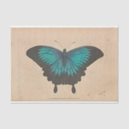 ヴィンテージブルーバタフライエフェメラデクページティール(緑がかった色) 薄葉紙