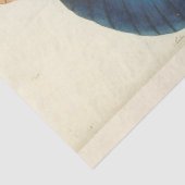 ヴィンテージブルーバタフライエフェメラデクページティール（緑がかった色） 薄葉紙 (詳細)