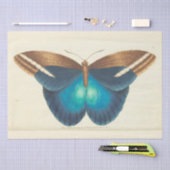 ヴィンテージブルーバタフライエフェメラデクページティール（緑がかった色） 薄葉紙 (クラフト)