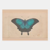 ヴィンテージブルーバタフライヘビーウェイトのデコパージュ ラッピングペーパーシート (正面3)