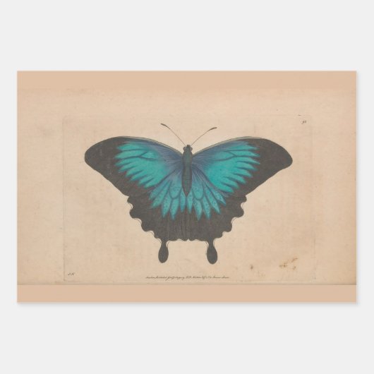 ヴィンテージブルーバタフライヘビーウェイトのデコパージュ ラッピングペーパーシート (正面3)