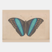 ヴィンテージブルーバタフライヘビーウェイトのデコパージュ ラッピングペーパーシート (正面2)