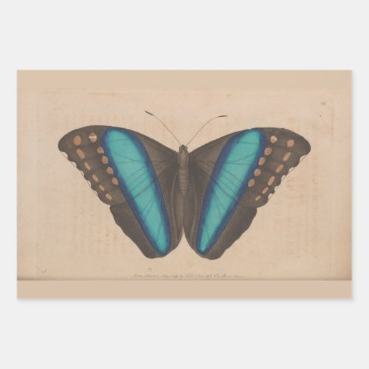 ヴィンテージブルーバタフライヘビーウェイトのデコパージュ ラッピングペーパーシート (正面2)