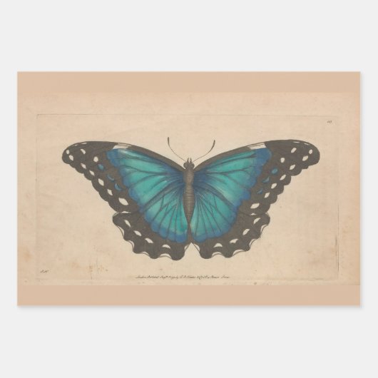 ヴィンテージブルーバタフライヘビーウェイトのデコパージュ ラッピングペーパーシート (正面)