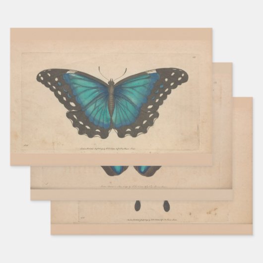 ヴィンテージブルーバタフライヘビーウェイトのデコパージュ ラッピングペーパーシート (セット)