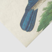 ヴィンテージブルーバードエフェメラデコパージュティッシュペーパー 薄葉紙 (詳細)