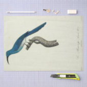 ヴィンテージブルーバードエフエメラデクページスクフランスのリプト 薄葉紙 (クラフト)