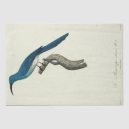 ヴィンテージブルーバードエフエメラデクページスクフランスのリプト 薄葉紙