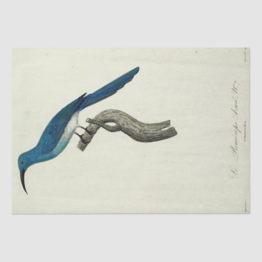 ヴィンテージブルーバードエフエメラデクページスクフランスのリプト 薄葉紙 (正面)