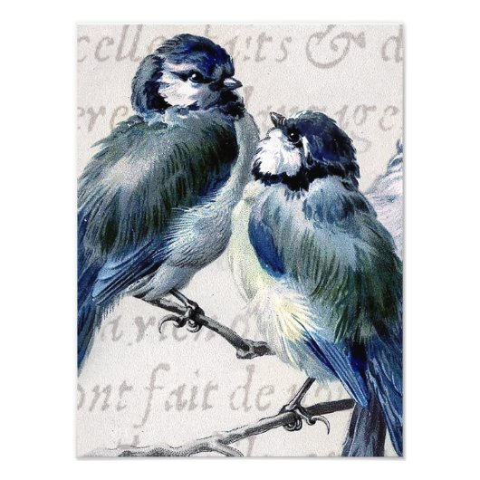 ヴィンテージブルーバードコラージュ – ブカスタマイズルーバーズ フォトプリント            (正面)