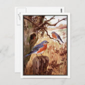 ヴィンテージブルーバードバイロバートブルース・ホルスフォールズ ポストカード (正面/裏面)