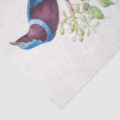 ヴィンテージブルーパープルバードエフエメラデクページスクリプト 薄葉紙 (詳細)